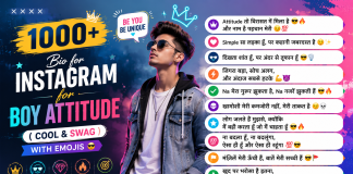 bio for instagram for boy attitude