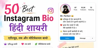 50 Instagram Bio Hindi Shayari