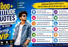 1000+ Attitude Quotes for Instagram Bio in Hindi (Swag & VIP) Attitude Quotes for Instagram Bio in Hindi