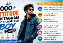 1000+ Attitude Instagram Bio Shayari for Boy (Swag)