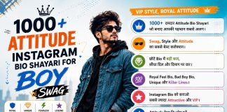 1000+ Attitude Instagram Bio Shayari for Boy (Swag)